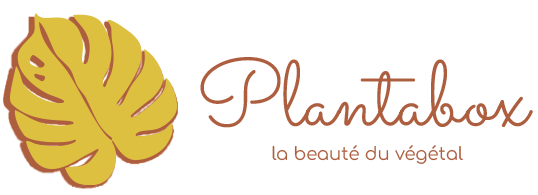 PlantaBox