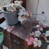 Chaine de Coeur (Ceropegia woodii) variegata – Image 2