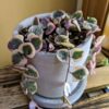 Chaine de Coeur (Ceropegia woodii) variegata – Image 3