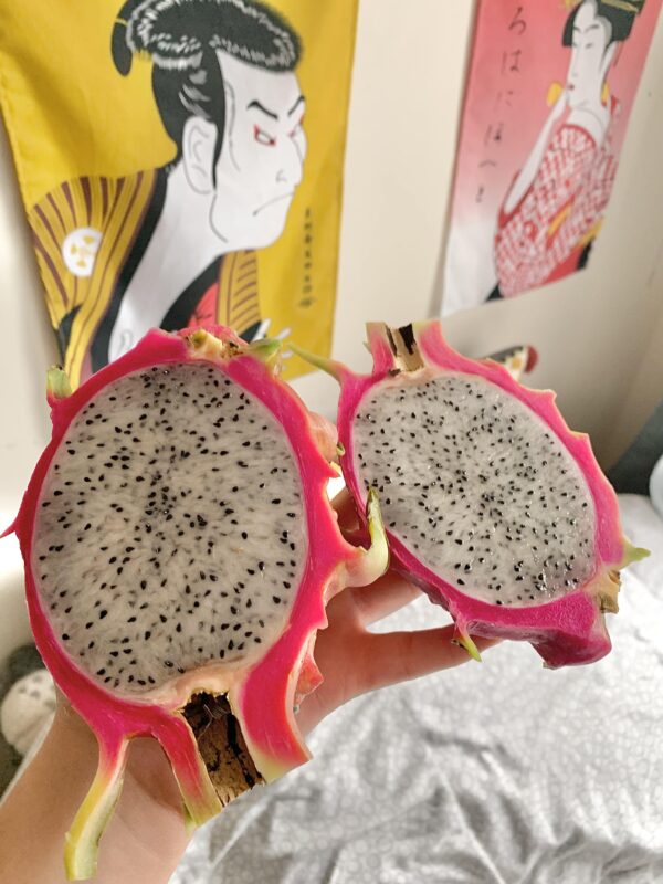 Fruit du dragon ( Hylocereus undatus ) – Image 2